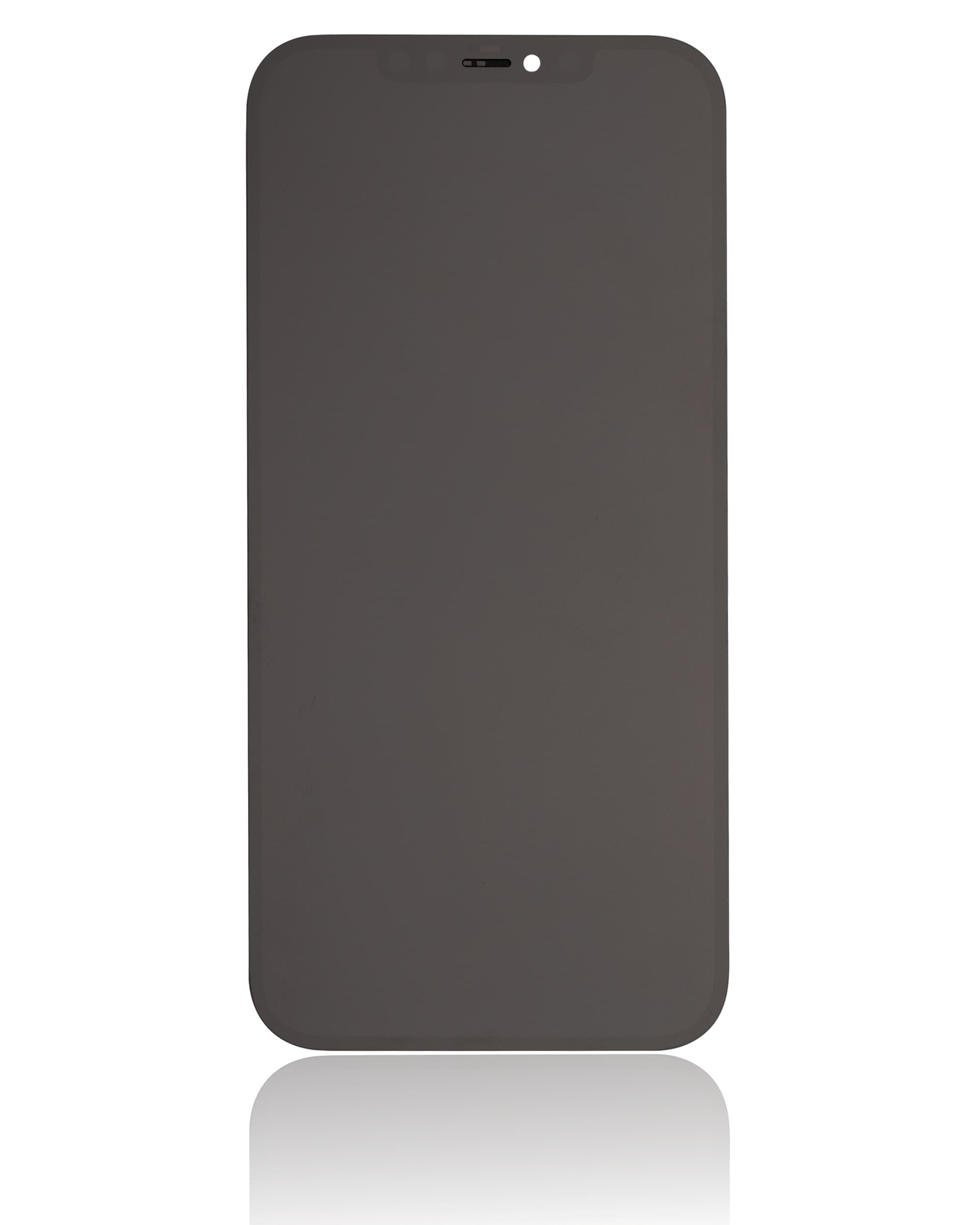 iPhone 12 Pro Max Display